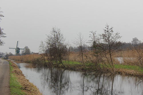 Natuur Omgeving Utrecht